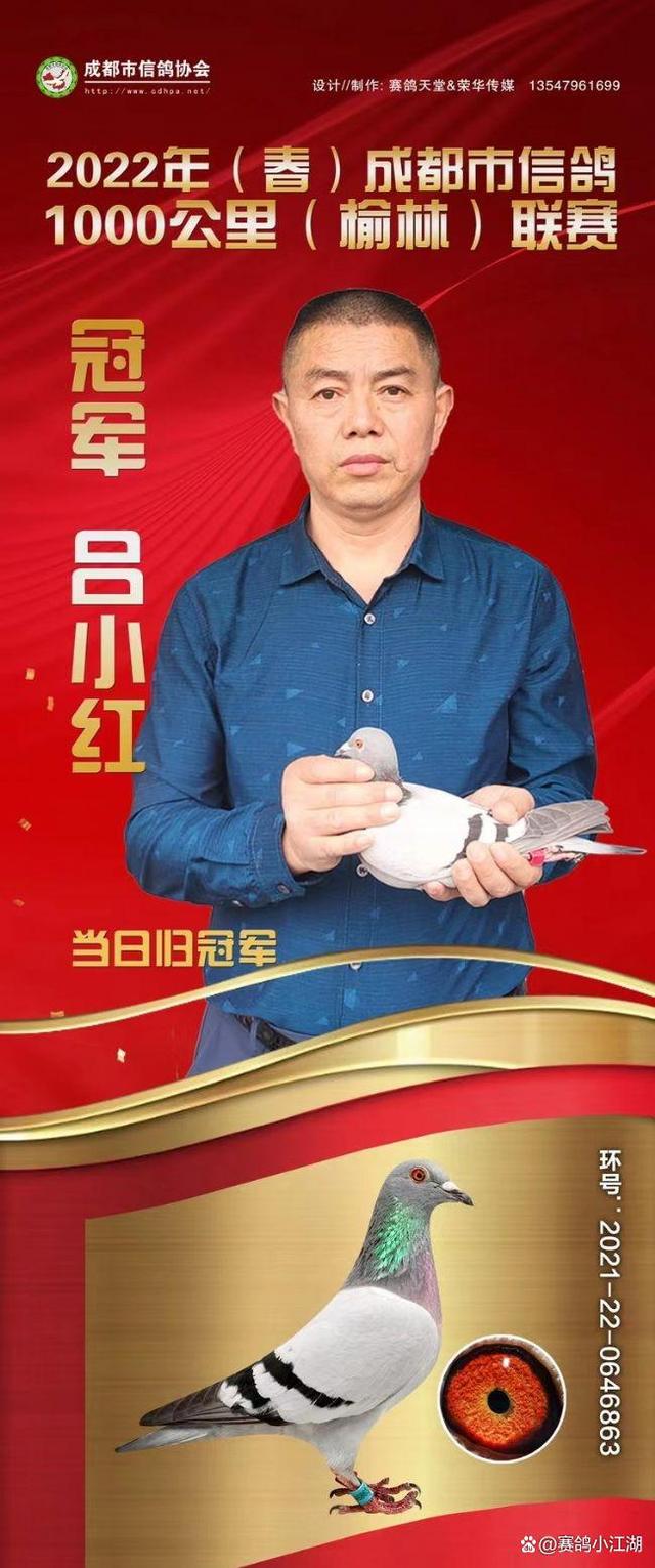详细阅读:成都市信鸽协会(成都市信鸽协会4) 成都市信鸽协会(成都市信鸽协会4)